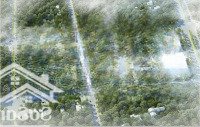 Mới Nhất 04.2025: Quỹ Hàng Cđt+ Chuyển Nhượng Liền Kề Dự Án Đấu Giá Đông Dương, Đức Thượng. Giá Tốt
