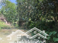 Cần Bán Đất Đường Tỉnh Lộ 3 - Gần Trường Lái Hồng Bàng - Có 100M2 Đất Ở - Chỉ 600K/M2