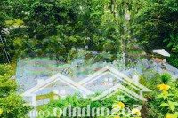 Bán Biệt Thự View Hồ 375M2 + 368M2 Sân Vườn, 2 Sân Vườn Trước Sau, 5 Phòng Ngủ Flamingo Đại Lải