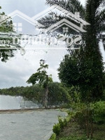 Bán Nhanh Lô Lk View Hồ Điều Hòa Rẻ Đẹp Nhất Vườn Hồng Dự Án Từ Sơn Garden City Đồng Kỵ