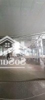 Xưởng Cho Thuê Xuân Thới Sơn Hóc Môn Dtt1000M Giá Bán 65 Triệu /Tháng