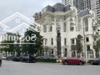 Bán Căn Góc To Đẹp Nhất Lê Đức Thọ Hướng Tây Tứ Trạch, Sổ Đỏ Và Nhà Sẵn Bàn Giao 0981.092.880