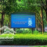 Dic Victory City - "Mỏ Vàng" Đầu Tư Hậu Giang 2025, Chỉ Từ 1 Tỷ Đã Có Đất Trung Tâm!