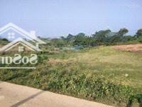 Hơn 900M2 Có 187M2 Thổ Cư Tại Phú Vinh, Tân Lạc, Kim Bôi.