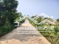 Hơn 900M2 Có 187M2 Thổ Cư Tại Phú Vinh, Tân Lạc, Kim Bôi.
