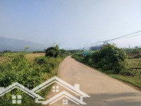 Hơn 900M2 Có 187M2 Thổ Cư Tại Phú Vinh, Tân Lạc, Kim Bôi.