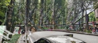 Cho Thuê Nhà Lô Góc Phố Tại Nguyễn Hữu Thọ, Hoàng Mai Với Diện Tích: 300M2