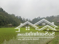 57M2 Đất Đức Thượng, Hoài Đức Ô Tô Tải Vào Nhà Cần Bán Nhanh
