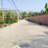 Chào Nhà Đầu Tư 14 Lô F0 Tdp Đền , Phường Hoàng Lâm ( Lâm Động ) Trục Thôn Giá Chỉ 1,X Tỷ