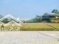 Cắt Lỗ Lô Đất Biệt Thự Đầu Tư Cực Tiềm Năng Tại Trung Tâm Hòa Lạc