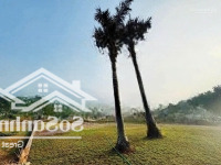 Cắt Lỗ Lô Đất Biệt Thự Đầu Tư Cực Tiềm Năng Tại Trung Tâm Hòa Lạc