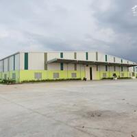 Cho Thuê Kho Xưởng Kcn Long Thành, Đồng Nai 5000M2, 6000M2, 8000M2, 16.000M2. Thích Hợp Đa Ngành