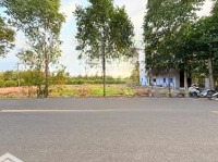 Cần Bán 258M2 (6X43) Thổ Cư Đường Nhựa Ấp 10, Lương Hoà, Bến Lức, Long An. Có 2 Nền Liền Kề