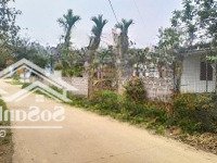 Lô Đất 8,5M Mặt Tiền Sẵn Nhà Cấp 4 Gần Trường Chợ, Ub Xã, Đường Tỉnh Lộ Minh Quang, Ba Vì, Hà Nội