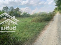 Hot! Bán Đất Hựu Thạnh, Đức Hòa, Long An. Dt: 1,35 Tỷ - 151M2