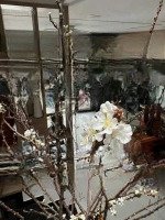 Bán Nhà 3 Tầng Đẹp Kđt Mỹ Gia Gói 7 Nha Trang. Giá Tốt