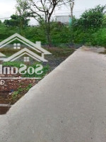 Bán Đất Thổ Cưhẽm Xe Hơi5M Tại Đường Huỳnh Văn Trí, Xã Tân Quý Tây, Bình Chánh, 2,5 Tỷ, 118 M2