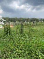 Bán Đất Tại Quốc Lộ 55, Xã Bông Trang, Xuyên Mộc, Bà Rịa Vũng Tàu, Giá Cực Chất : 3 Tỷ Xx