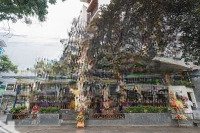 Siêu Phẩm! Cho Thuê Nhà Mặt Phố Tô Hiệu,Diện Tích250M2 Mặt Tiền 8M Đẹp Nhất Phố. Kd Mọi Mô Hình