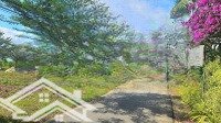 Bán Lô Đất Mặt Tiền Đường Nhựa, Sát Trung Tâm Thị Trấn Diên Khánh