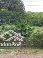 Đất 2Mt Nhựa Thông, Khu Dân Cư, Sau Lưng Trường Cấp 2