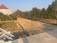 Bán Đất Ấp Phú, Quang Vinh, Ân Thi, 110M Lô Đẹp Giá Tốt Cho Nhà Đầu Tư