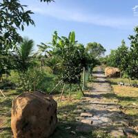 Cô Chú Lớn Tuổi - Cần Bán Gấp Mảnh Đất Vườn 1500m2 Tại Long Khánh, Đồng Nai