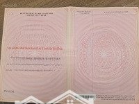 Cần Bán Gấp 1000M2 Có 20M Mặt Tiền Đường Nhựa Chưa Tc Có Thể Lên Thổ Cư Chính Chủ Sổ Hồng