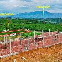 Đất Lộc Nga-TP Bảo Lộc view núi Đại Bình sẵn thổ cư, ngang 10m mặt tiền đường Võ Trường Toản