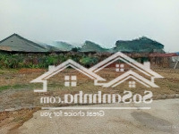 Lô Đất 65M2 Giá Rẻ Tại Phố Bảo An - P. Đồng Xuân - Tp Phúc Yên, Vĩnh Phúc Chỉ 650 Triệu
