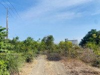 Bán Đất 2 Mặt Tiền Đường Nhựa Xuyên Mộc, Brvt: 5000M² (Có 300M² Thổ Cư): 0878 567 179