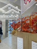 Bán Nhà Ngay Vòng Xoay Ngã 5 Quang Trung - Lý Thánh Tôn. Vị Trí Sầm Uất Kinh Doanh