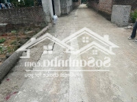 Hàng Hiếm Tại Đội 3, Tân Xã, Thạch Thất, Hà Nội, Giá Siêu Hời 38 Triệu/M2, 175M2. Full Thổ Cư