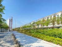 Cho Thuê Biệt Thự Liền Kề Sân Vườn Dương Nội Không Giới Hạn Mục Đích Sử Dụng