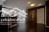 Hạ 20 Tỷ Bán Gấp! Tòa Chdv -Mặt Tiềncửu Long, Tân Bình (10 X 25M - Hầm 9Tầng) Hđt: 400 Triệu/Th - 85 Tỷ