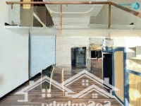 Cho Thuê Chdv Có Máy Giặt Riêng 40M2 Ngay Khu Tân Quy _ Giáp Crescrent Mall / Lotte_ Cầu Kênh Tẻ Q4