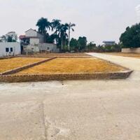 Bán đất Đan Tảo Tân Minh Sóc Sơn lô góc 86m2 Full thổ cư hai ô tô tránh nhỉnh 2 tỷ xíu