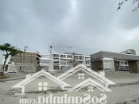 Bán Gấp Lô Biệt Thự 250M Kđt Nguyên Khê Đông Anh! Giá Cực Tốt!