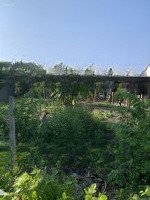 Bán Đất Mặt Tiền Tỉnh Lộ 8 Giá Đầu Tư