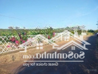 Bán 1220M2 Mặt Tiền 53M Đất Bàu Lâm , Xuyên Mộc , Brvt