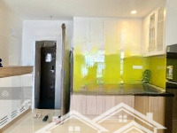 Cho Thuê 13 Triệu/Tháng - Botanica Premier, Novaland 55M2 1Pn/ 1 Vệ Sinhnhà Cơ Bản Có Nội Thất