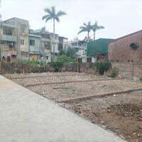 Bán lô đất 50m ngay sát Tinh Thành Quốc Tế , Lê Duẩn , Kiến An .