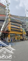 Giá Đầu Tư Bán Nhanh Mặt Phố Đội Cấn - Ba Đình, Diện Tích 222M2, Mặt Tiền 8M Đoạn Đẹp Nhất Phố