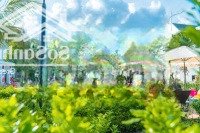 Bán Shophouse Dự Án Eco City Premia Mặt Đường Tôn Đức Thắng Giá Bán 6 Tỷ 950