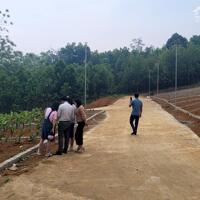 Bán đất nền giá rẻ tại Ngọc Lặc – Thanh Hóa, chưa đến 300 triệu/lô