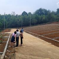 Bán đất nền giá rẻ tại Ngọc Lặc – Thanh Hóa, chưa đến 300 triệu/lô