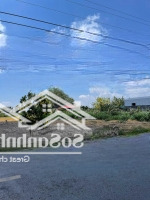 Đất Liền Kề Đường 826, Long Trạch, Cần Đước, Kế Kcn Cầu Tràm. Giá Gốc 415 Triệu/155M2. Shr, Full Thổ