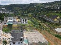 Bán Đất Giá Đầu Tư An Bình Phường 3 Đà Lạt View Đẹp Cáp Treo