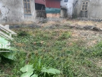 Hơn 2 Tỷ 100M Đất Đẹp Tại Đông Thai, Vân Tảo , Thường Tín 0788335225
