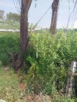 Bán Đất Mặt Tiền Đường Nhựa Hiện Tại 7M Ngang 50M Dài 24M. Giá Bán 3,1 Tỷ. Liên Hệ: 0945416237